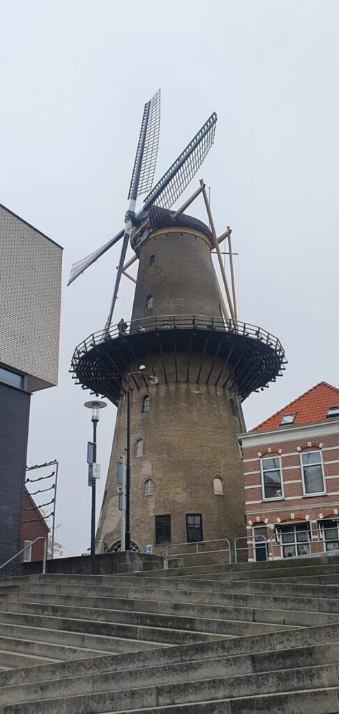 <a href="/?p=1557"> Onze artikel 40 vragen inzake De Molen Kijck over den Dijck.</a> <a href="/?p=1557"> Onze artikel 40 vragen inzake De Molen Kijck over den Dijck.</a>
