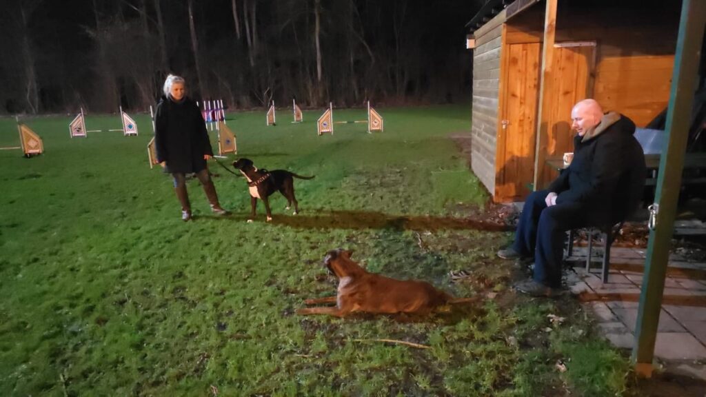 <a href=/?p=3210>Boxerclub Dordrecht viert 35-jarig bestaan</a> <a href=/?p=3210>Boxerclub Dordrecht viert 35-jarig bestaan</a>