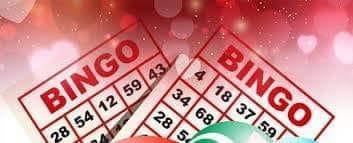 Vragen over horeca-en bingovergunning Speeltuinvereniging Zeehavenkwartier Vragen over horeca-en bingovergunning Speeltuinvereniging Zeehavenkwartier