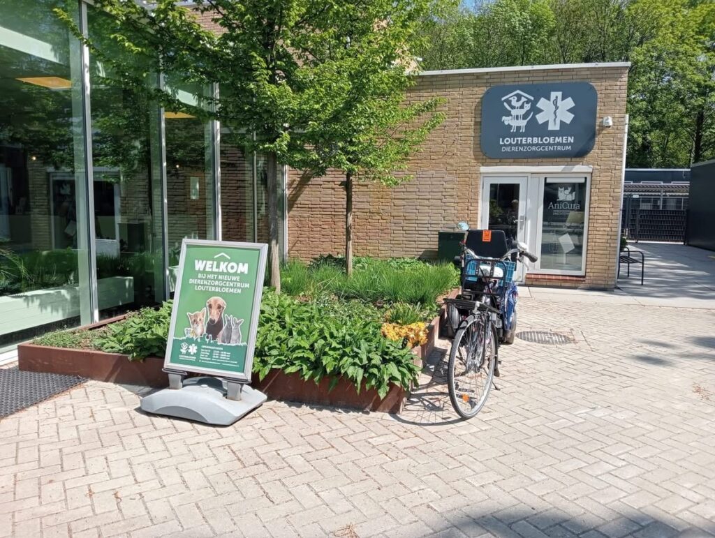 Bezoek aan Louter Bloemen
